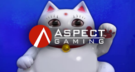 img_slot_aspect.png